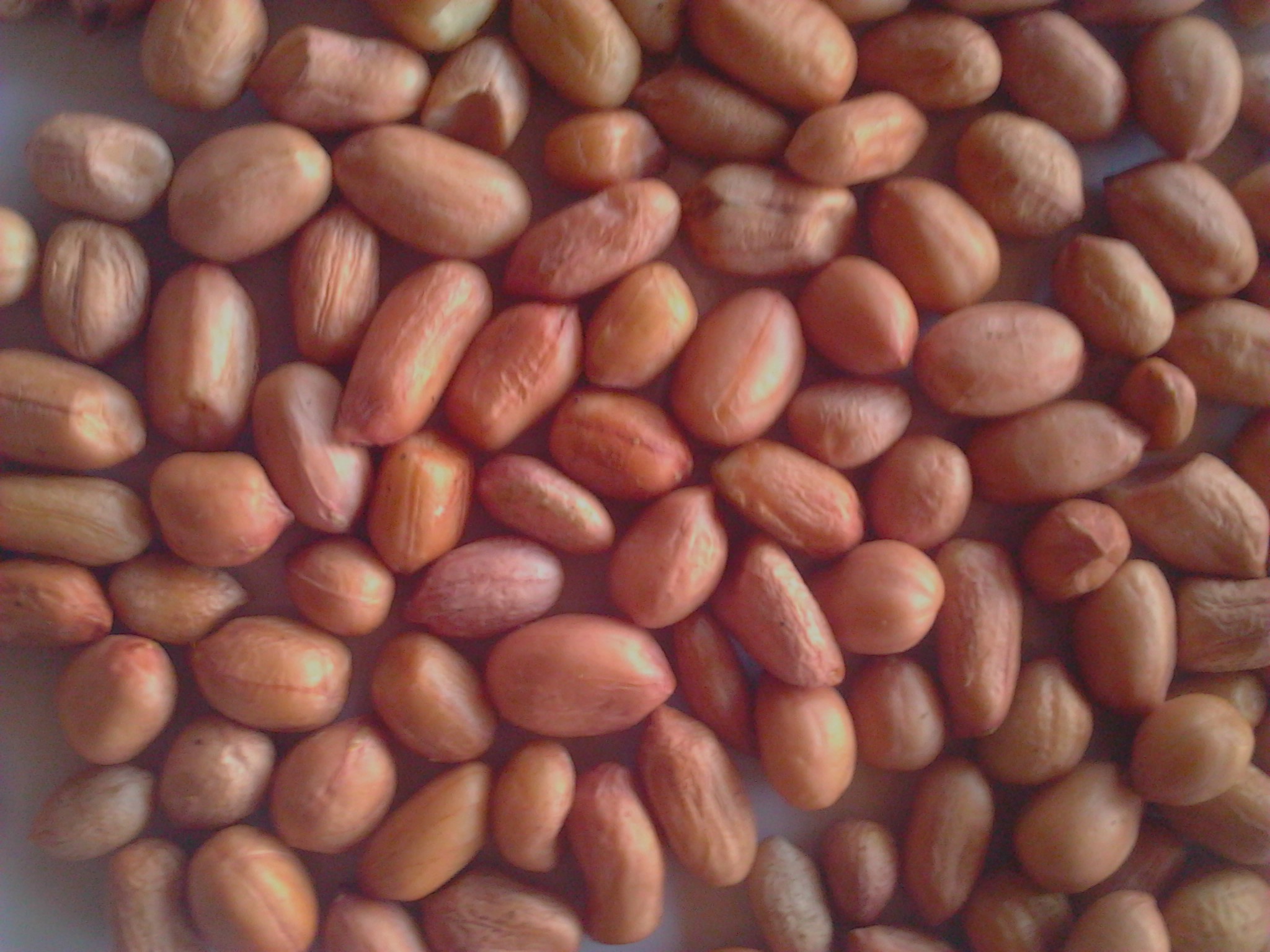 Arachide en vrac Sénégal – Bulk groundnuts peanuts Senegal export