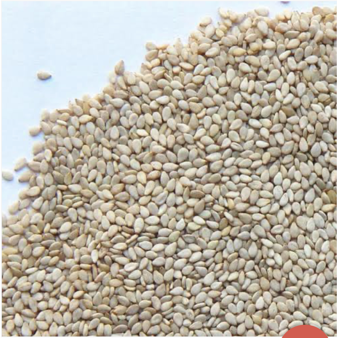 Produits agricoles du Sénégal – Senegal agricultural products West Africa export