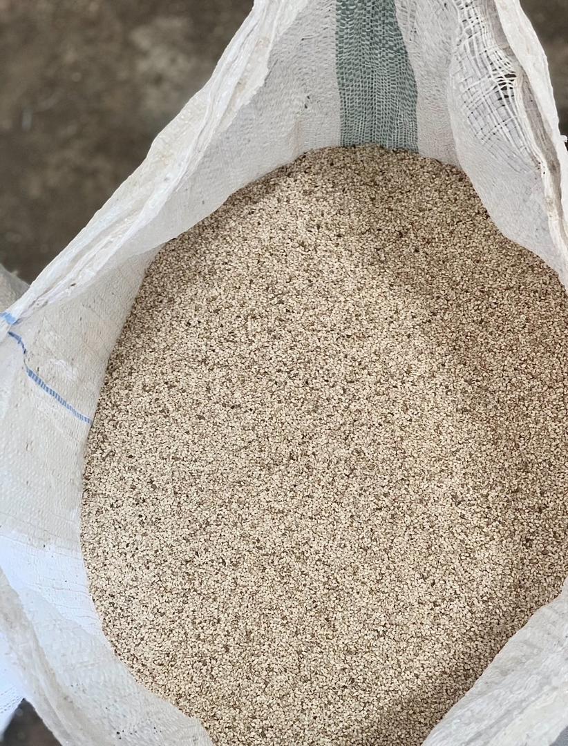 Graines de sésame Sénégal – Sesame seeds Senegal export hulled white