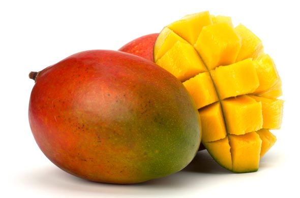 Mangues fraîches Sénégal – Fresh mango Senegal export Kent Keitt varieties
